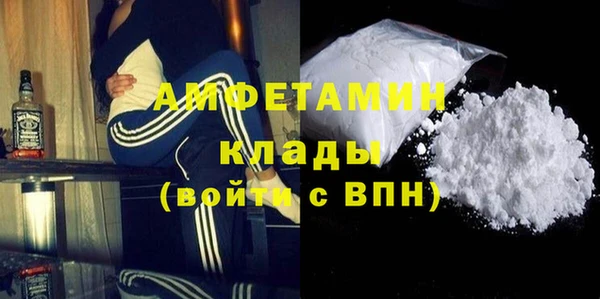 гидра Богданович